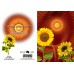 FRACTALIZATION GREETING CARD Sunrise Sunflowers
